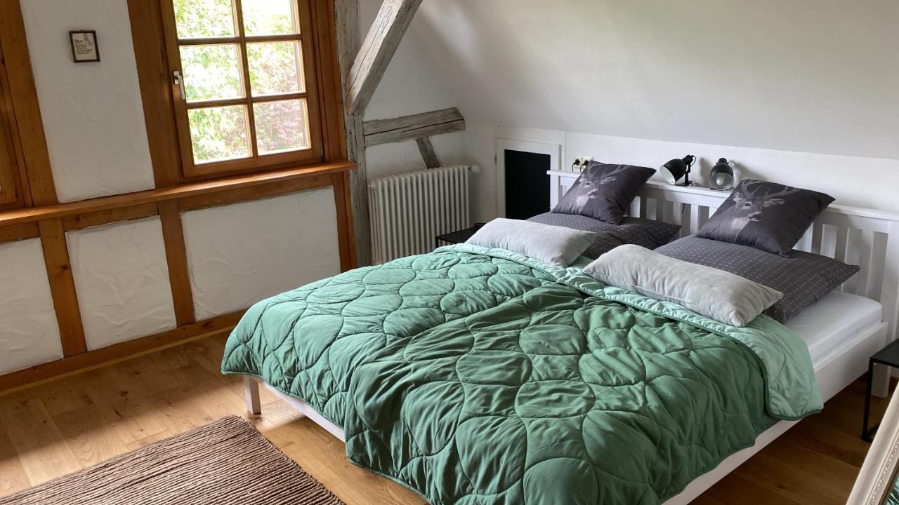 Apartment Am Schlossgarten